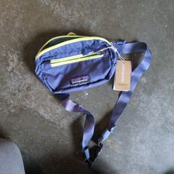 Patagonia Ultralight Black Hole Mini Hip Pack
