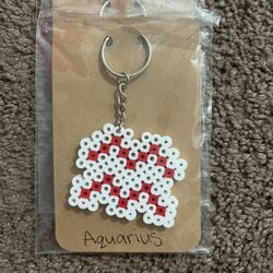 Aquarius Horoscope Keychain