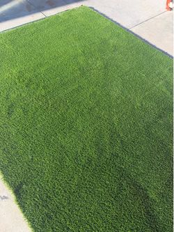 Turf/artificial grass