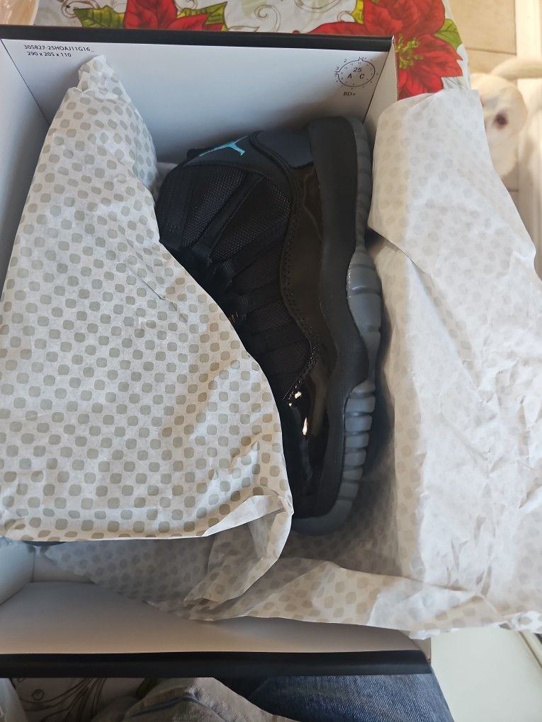 Jordan Retro 11 Gammas