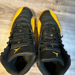 Jordan 12