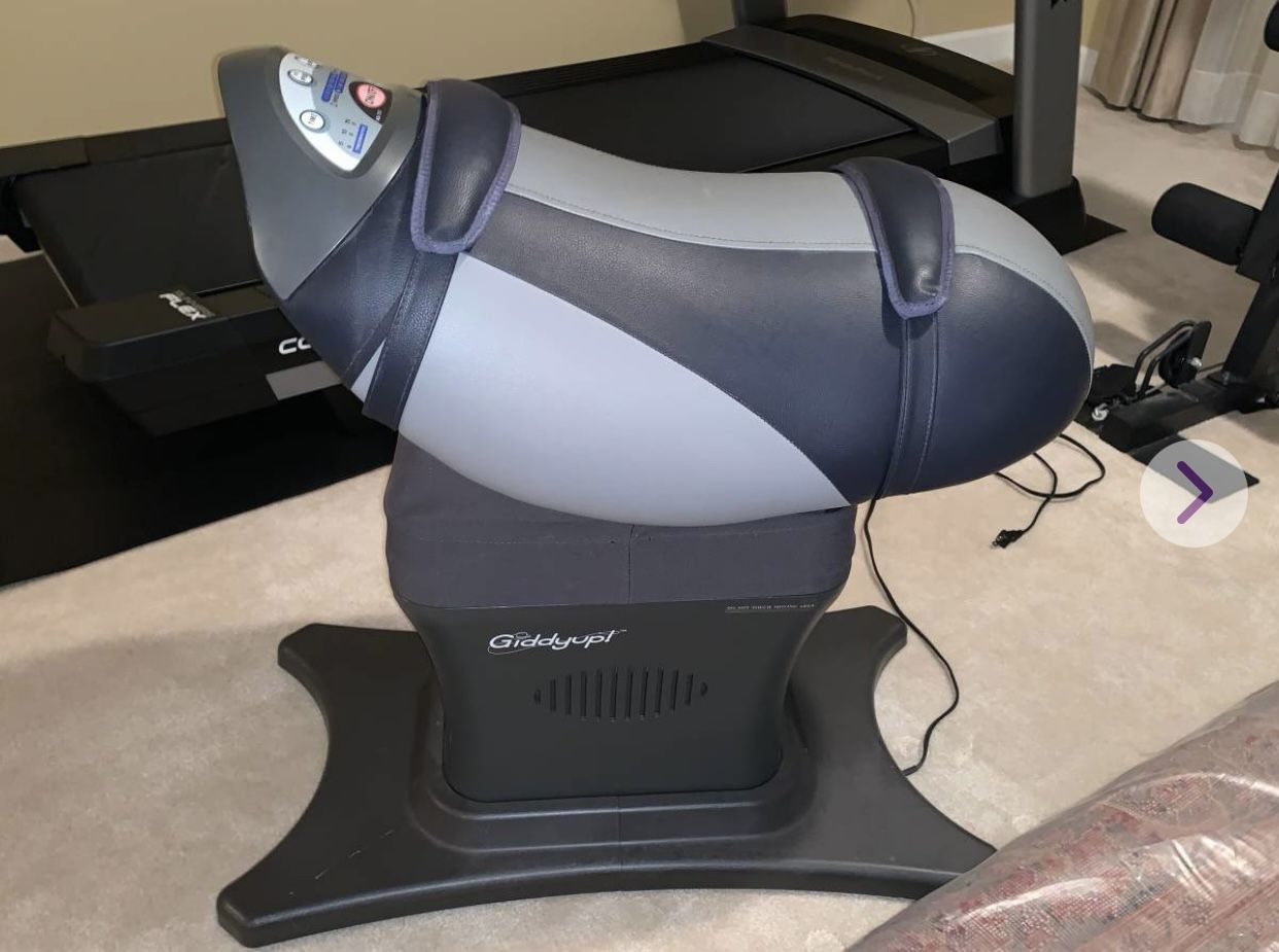 Giddyup Core, Buttocks & Upper Thighs Exerciser