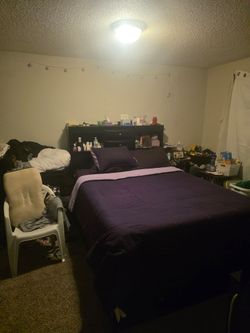 Storage bed 🛌