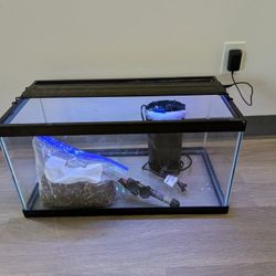 Fish Tank 