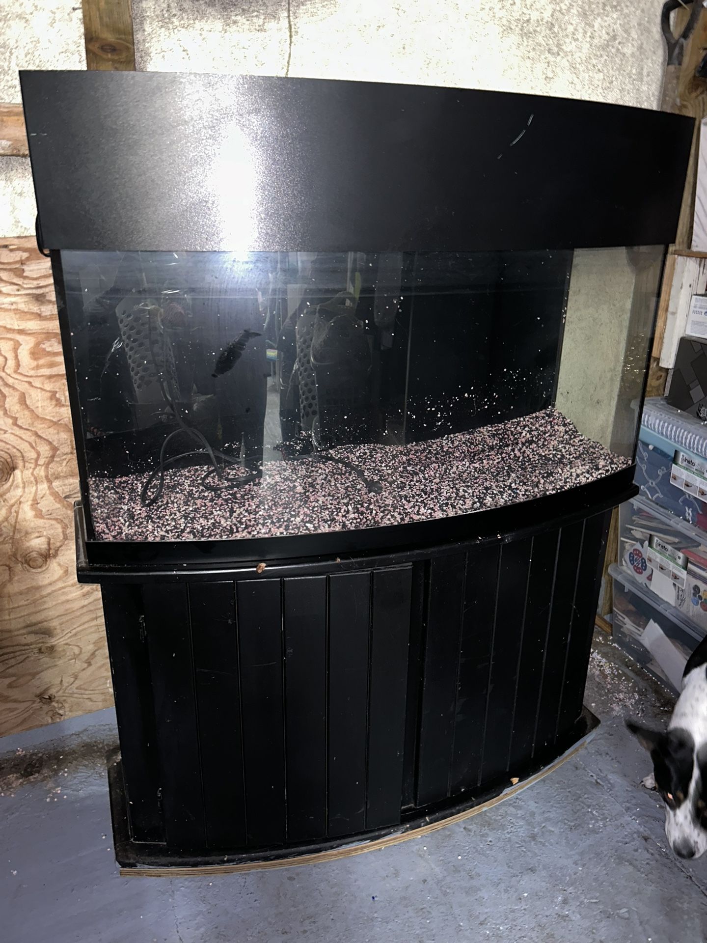 Fish Tank