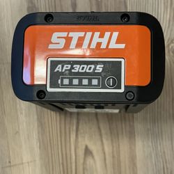STIHL AP 300S 36V 7.2Ah Lithium-Ion Battery Pack