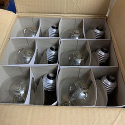 12pk Light Bulbs 