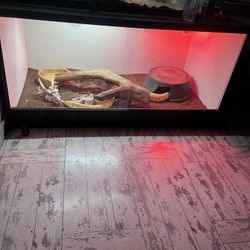 Reptile Cage