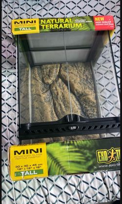 Reptile Enclosure Setup
