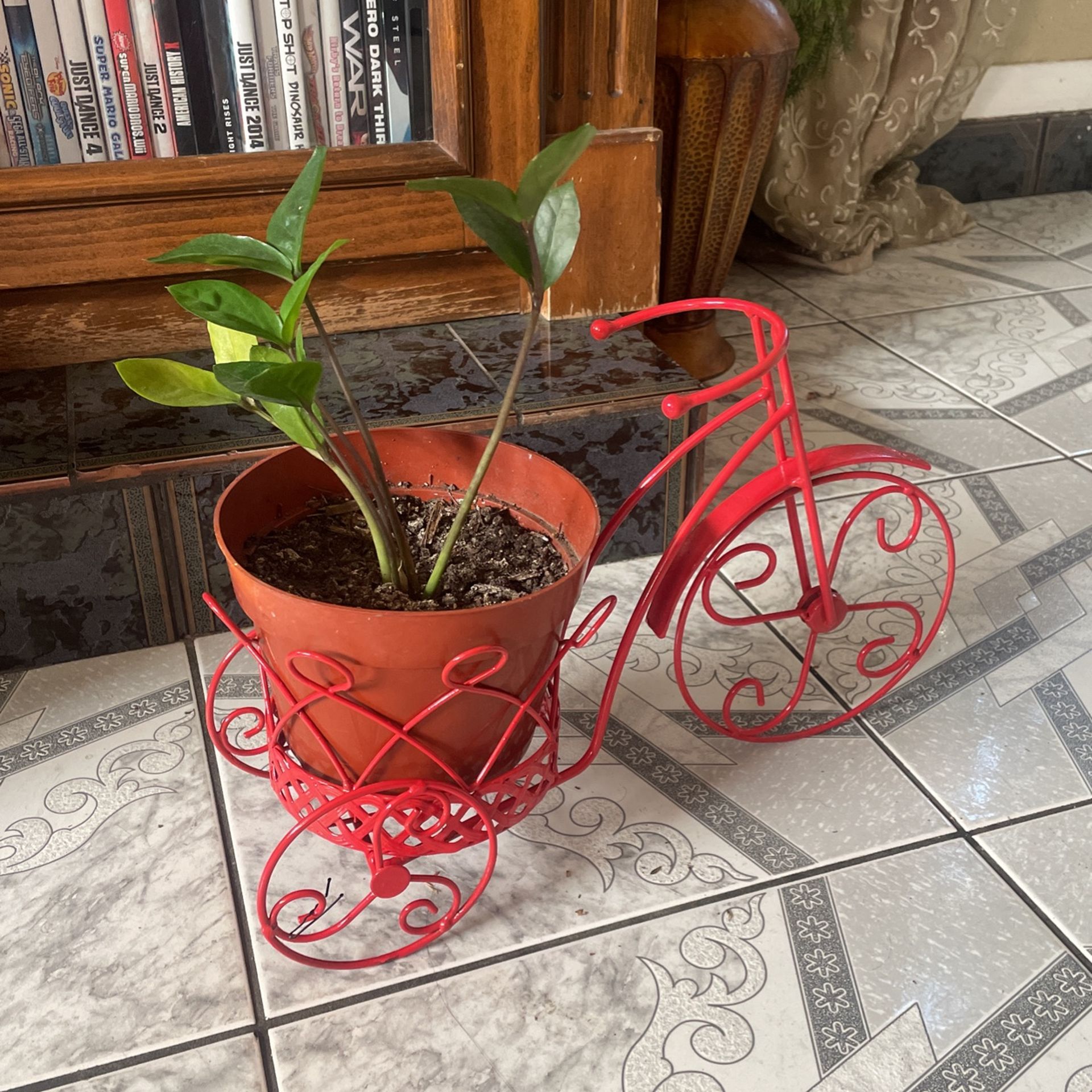 Planta En Bicicleta 