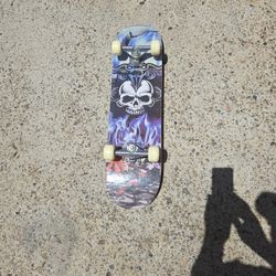 Skateboard Double Kick Tail 31 Long 8 Wide