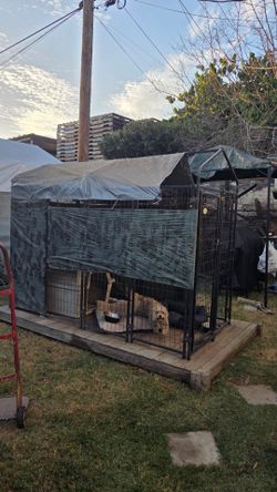 Kennel