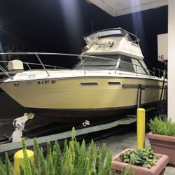 Searay Cabin Cruiser Boat 