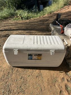 Huge 150qt Igloo Quick & Cool Cooler.