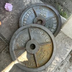 Olympic Weight Plates 