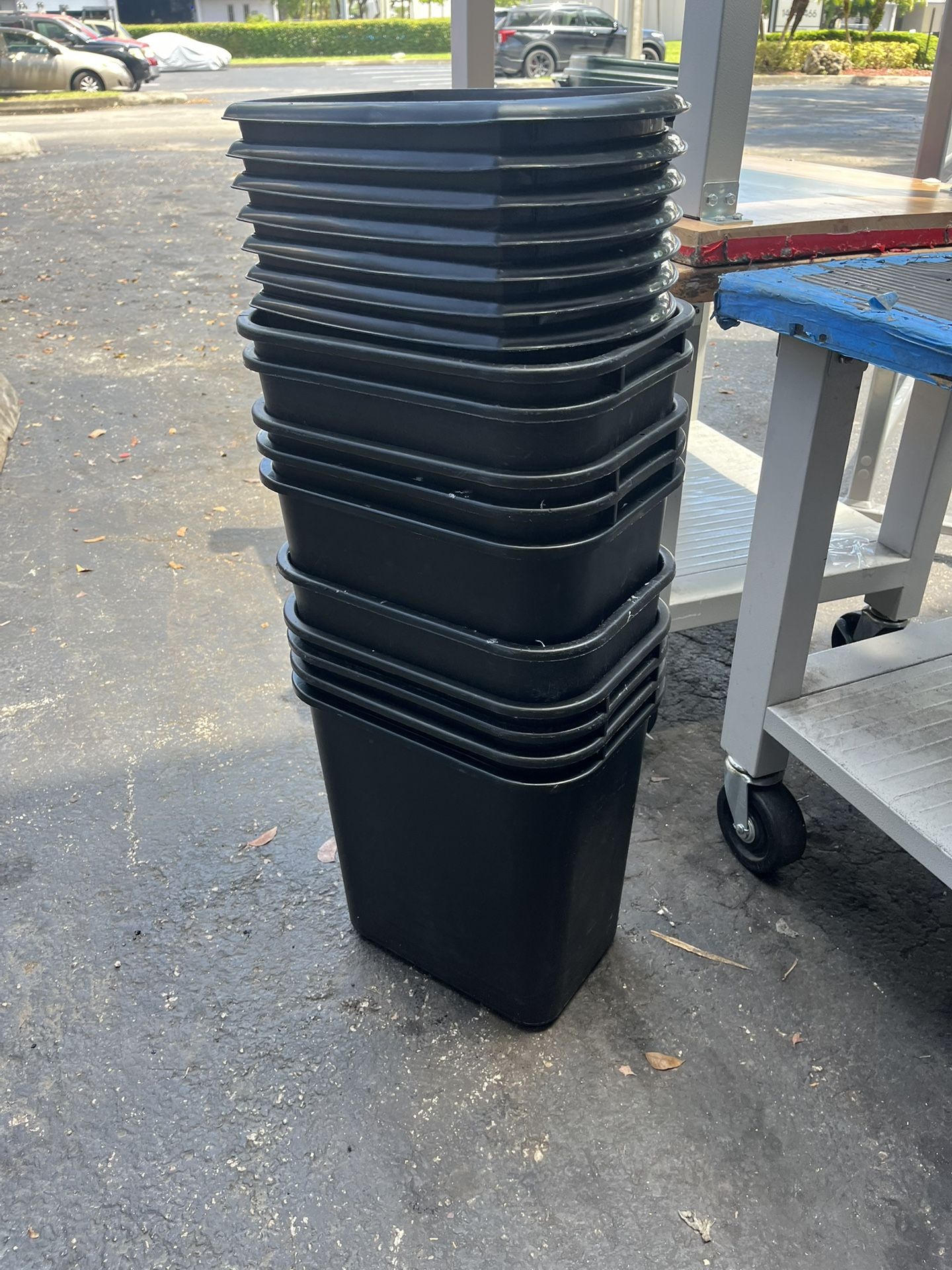 Sesto De 🗑️ Basura