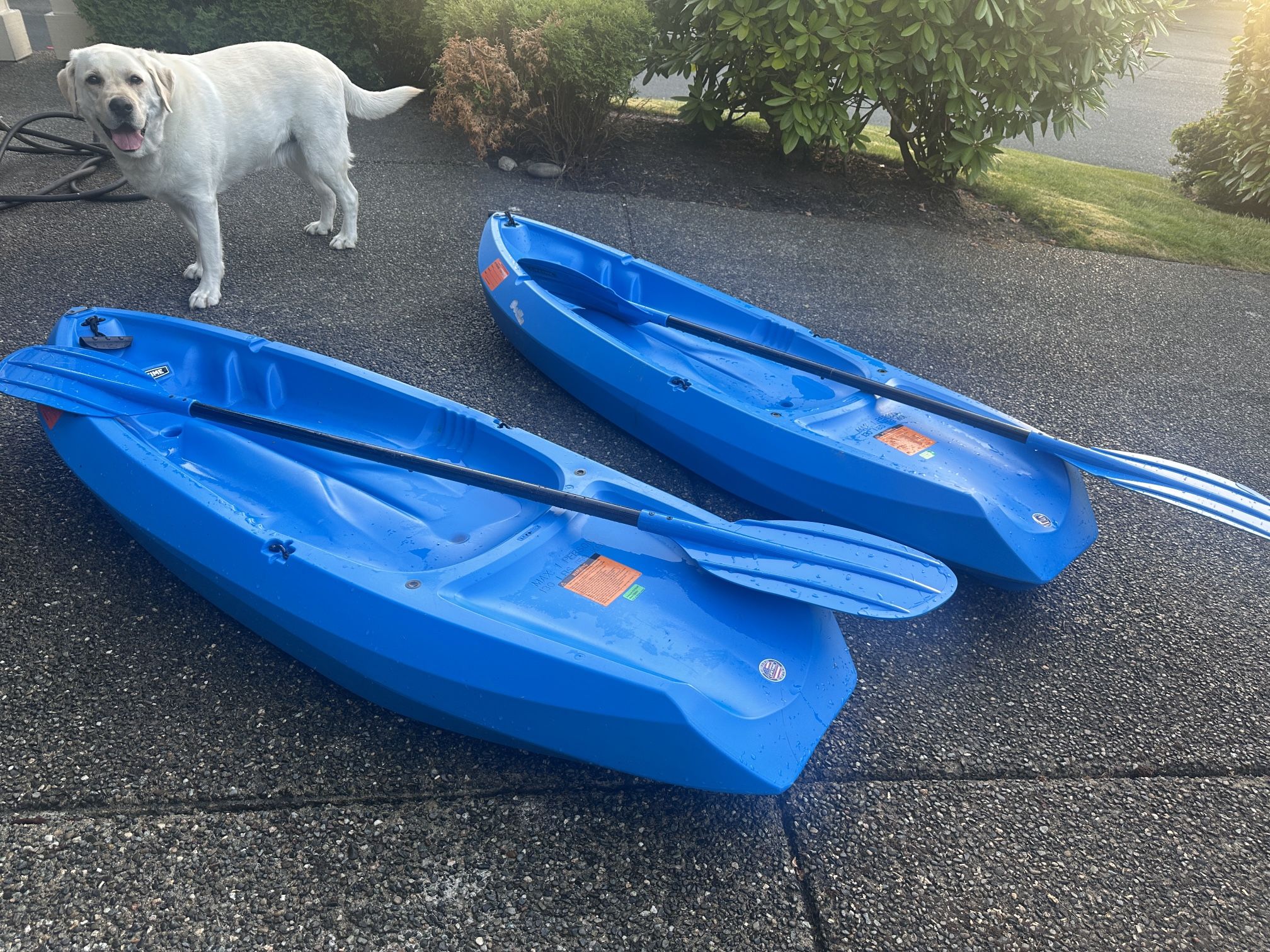 Lifetime 90097 6Ft Wave Youth Kayak W/Paddle, Blue