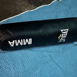 Everlast 70lb Heavy Bag