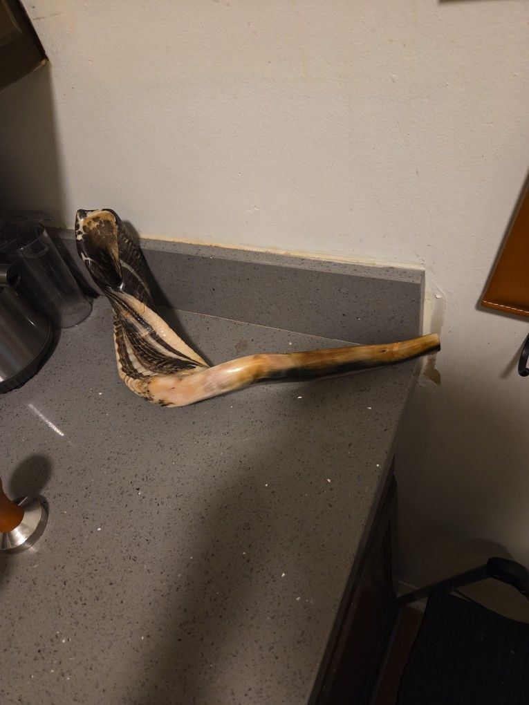 Rams Horn Shofar