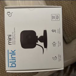 Blink Mini