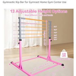 Gymnastic Bar - Disassembled Ready To Take! 