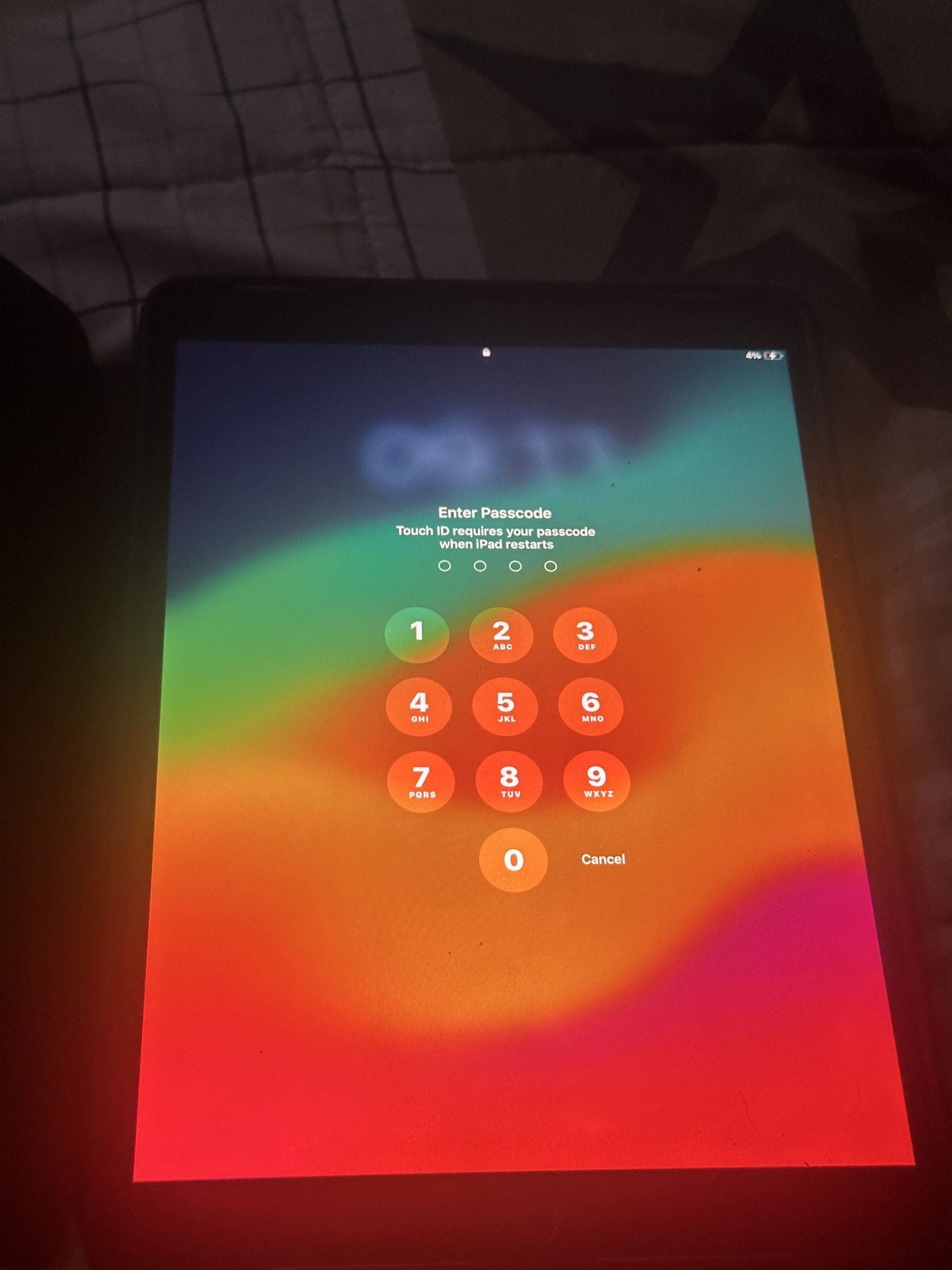 iPad Pro 256 GB
