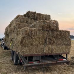 Local Hay