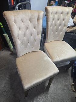 6 Total Dinning Chairs