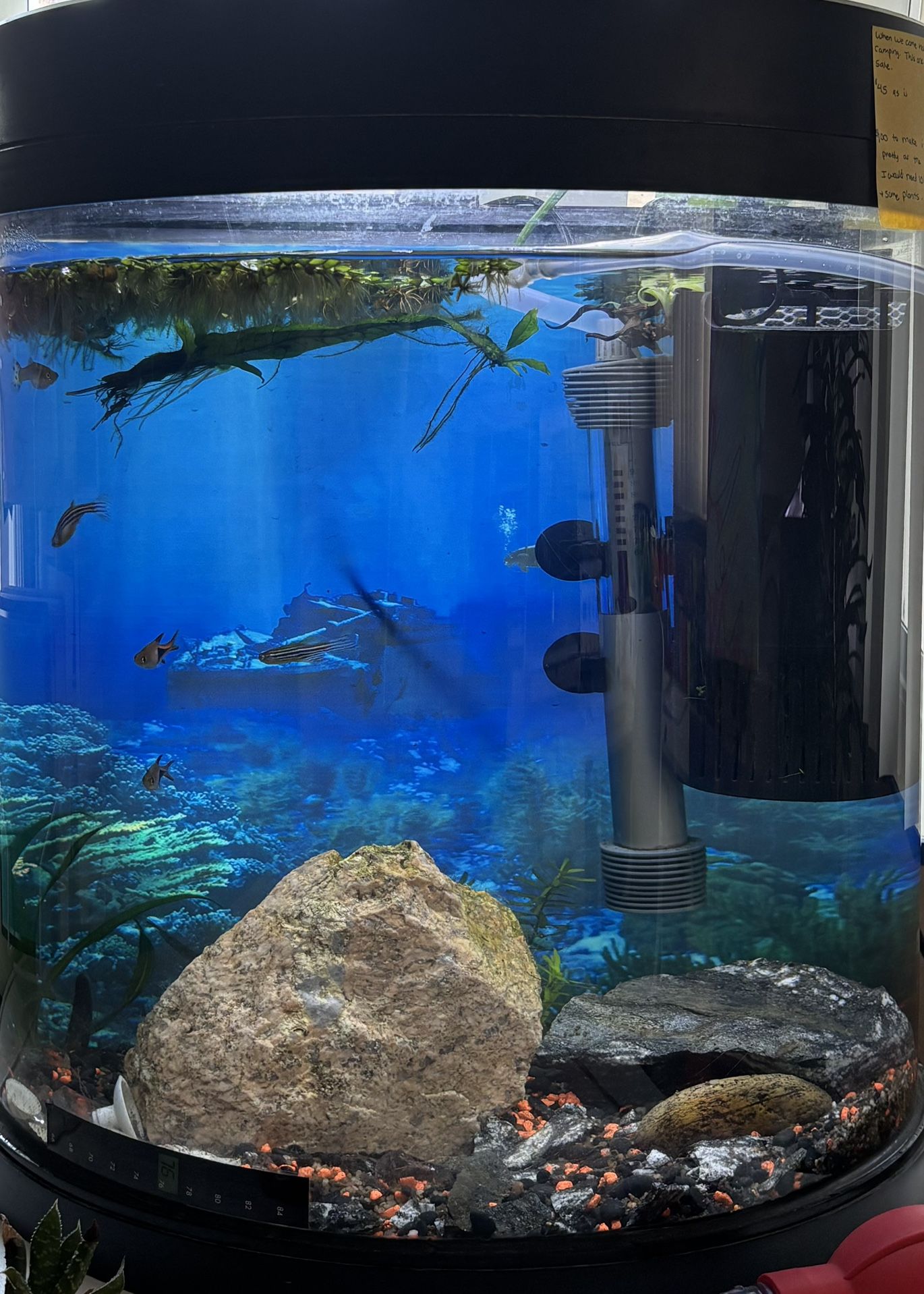 10 Gallon Half Moon Glass Aquarium And Some Food Included 