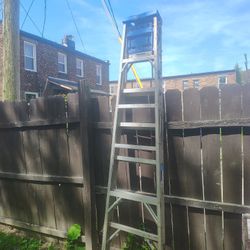 Werner 6ft & 8ft Ladders 