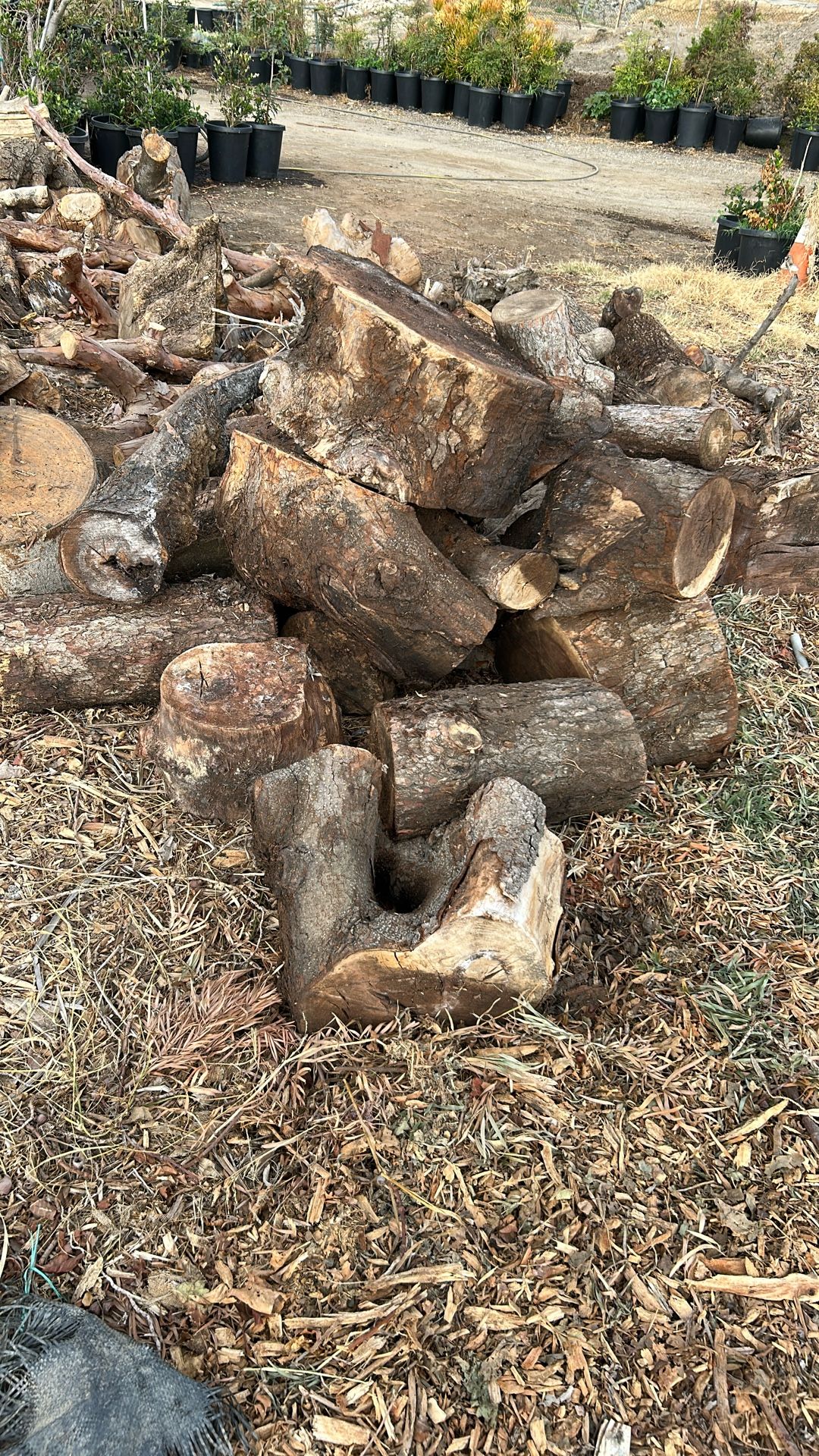 firewood