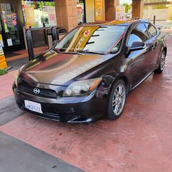 TOYOTA SCION TC COUPE 4CLYND