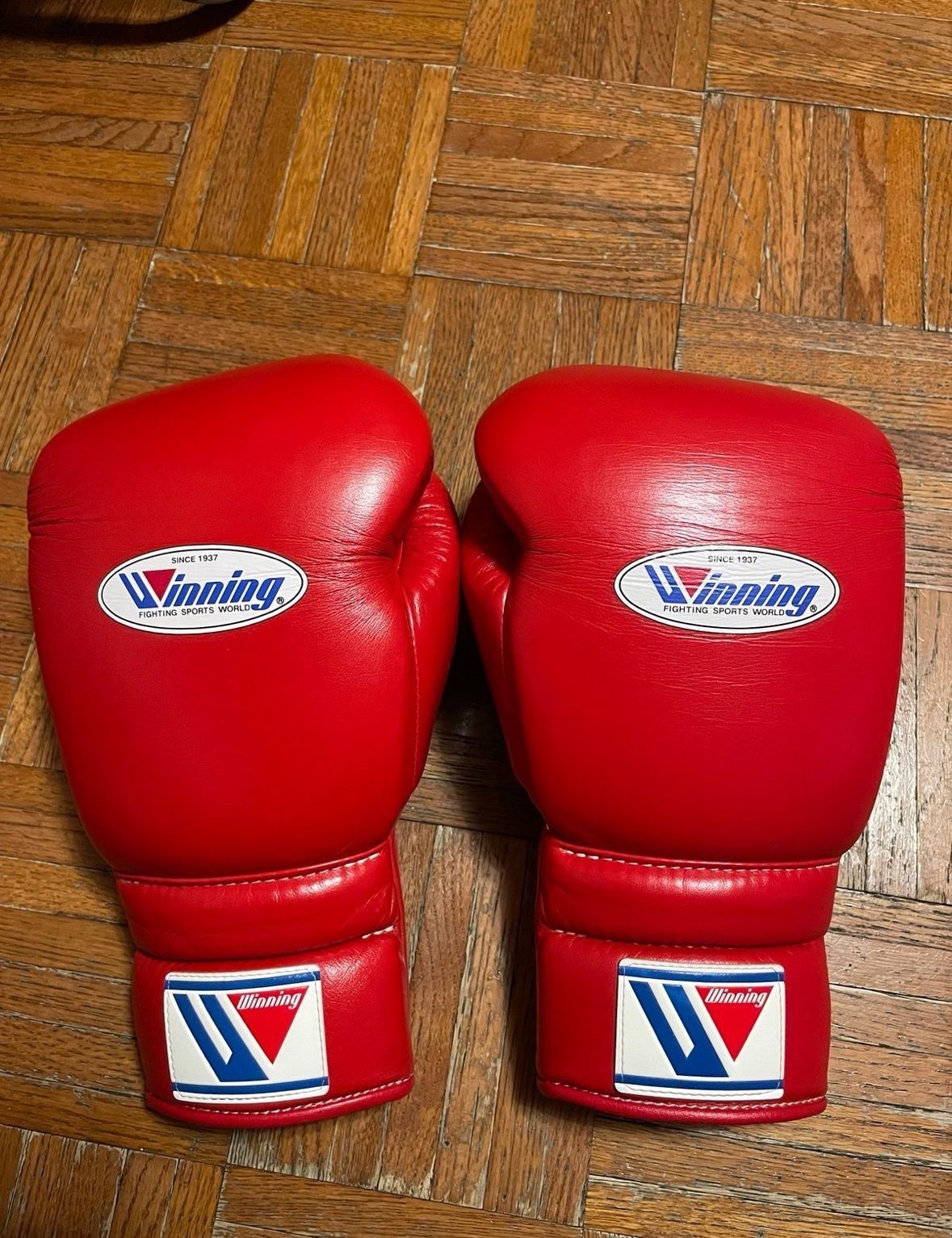 Winning Boxing Gloves