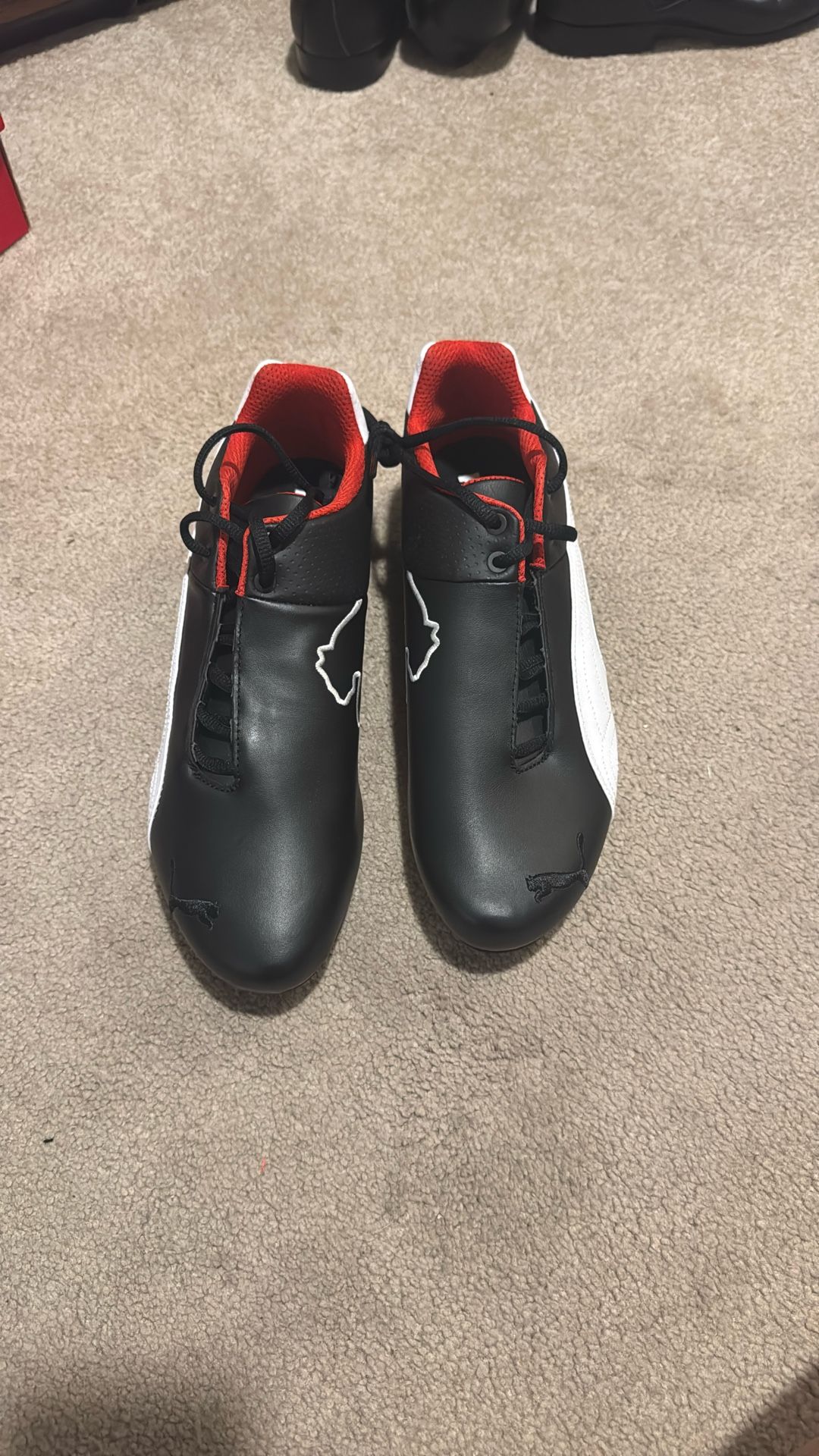 Puma SF Future Cat OG