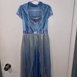 Frozen Nightgown 