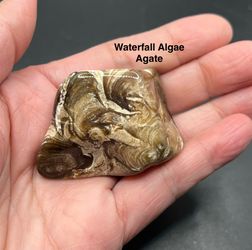 Waterfall Algae Agate from Wyoming  53.8g RARE