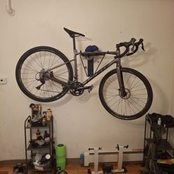 Giant Revolt 2 2020 - GRAVEL BIKE