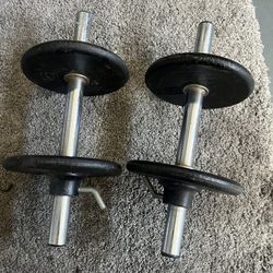 10 Lbs Dumbells