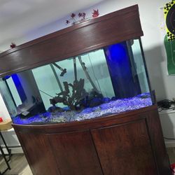 FISH TANK 185 GALLON 