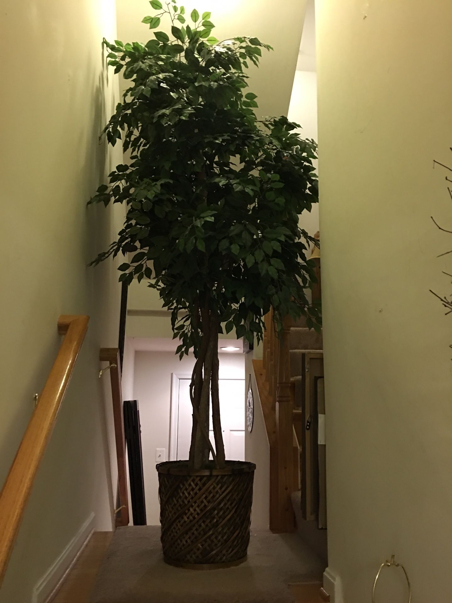 Huge artificial 9 ft plus very full Ficus Tree