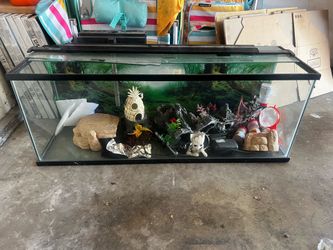 Fish Tank/ Aquarium