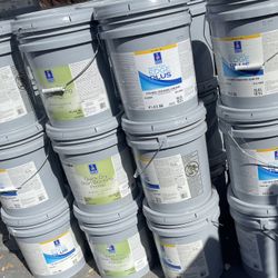 Pintura Blanca Flat Para Interior/ Paint 