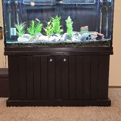 120 Gallon Freshwater Tank