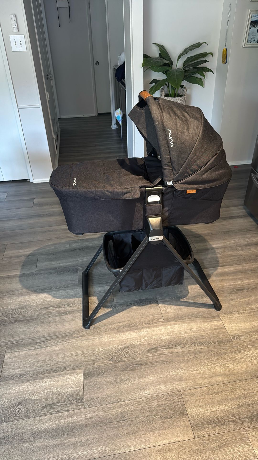 Nuna Bassinet