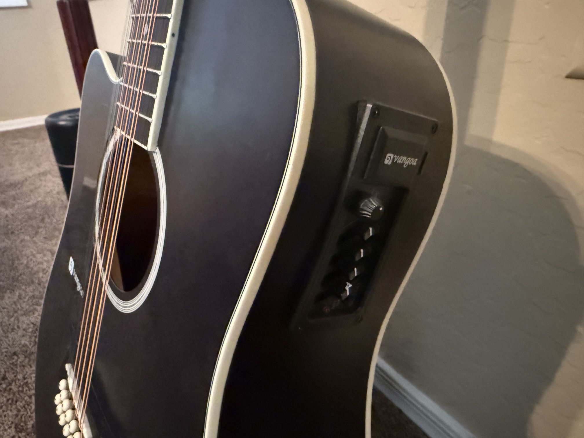 Taylor And Ltd Guitars