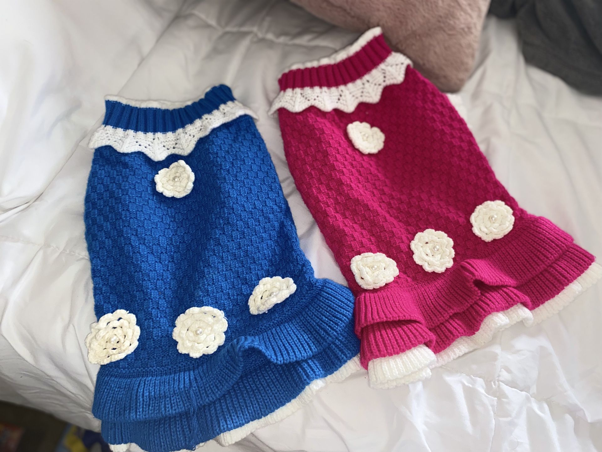 dogs clothes