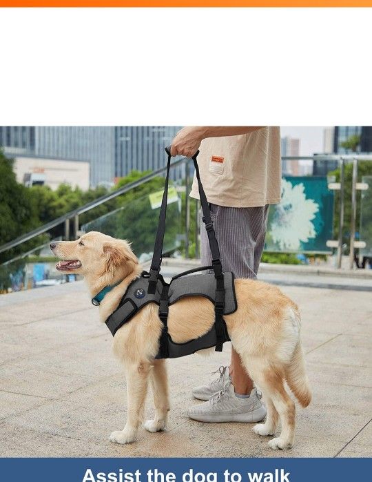 Large Dog Harness