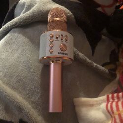 Karaoke Mic
