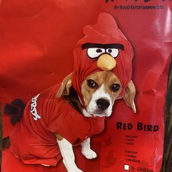 Angry Bird Dog Costume