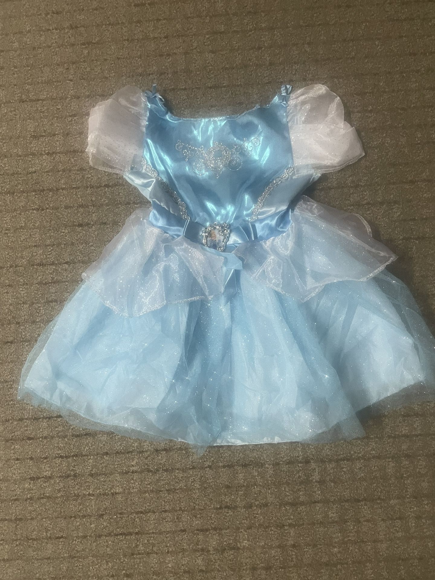 Cinderella Costume & Frozen’s Elsa Costume